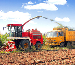 勘察設計與施工